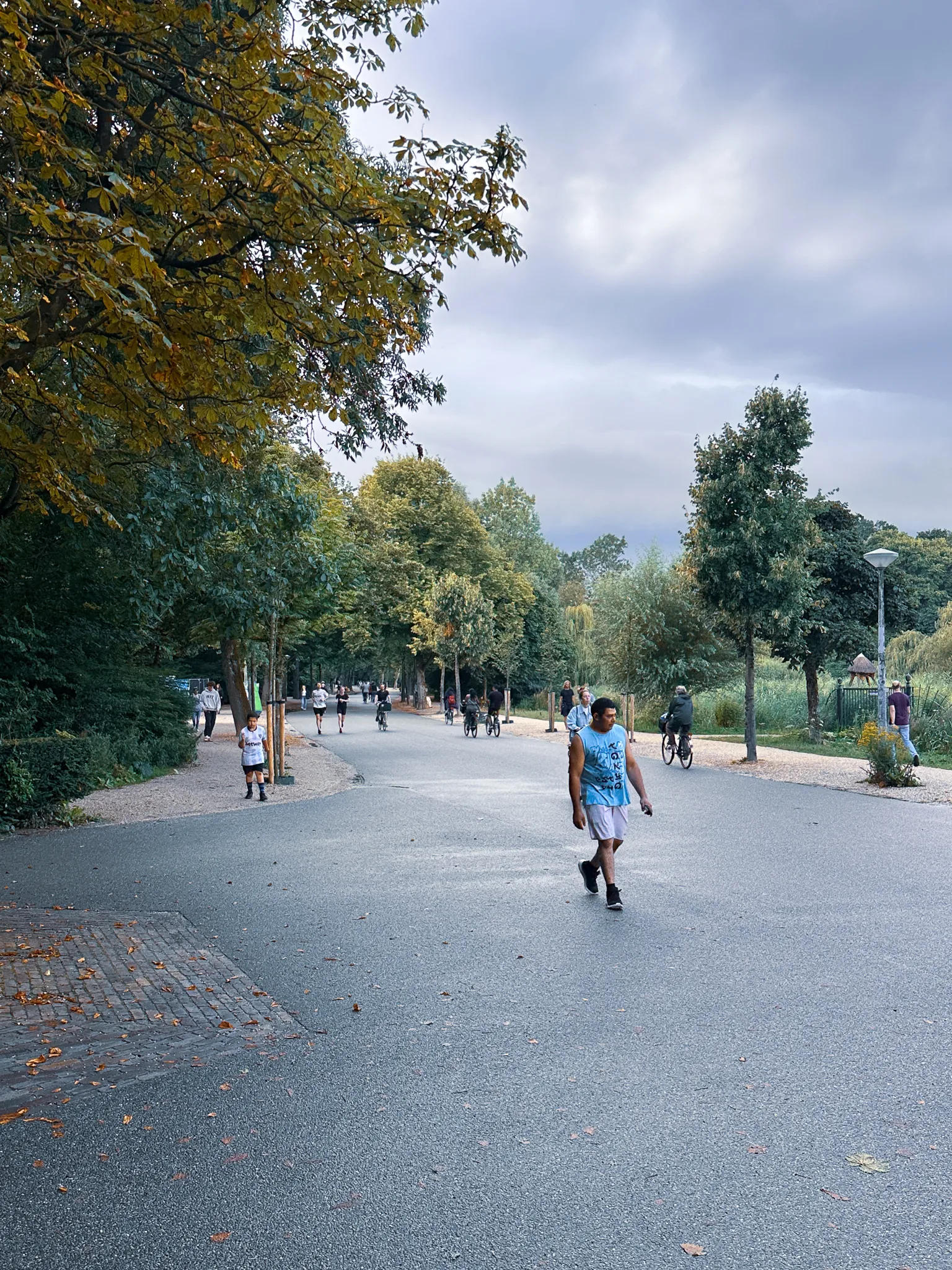 A wide grey path through the Vondelpark in the evening, a man in a pale blue vest walking toward the camera, cyclists and families scattered further back and a chestnut already turning yellow overhead