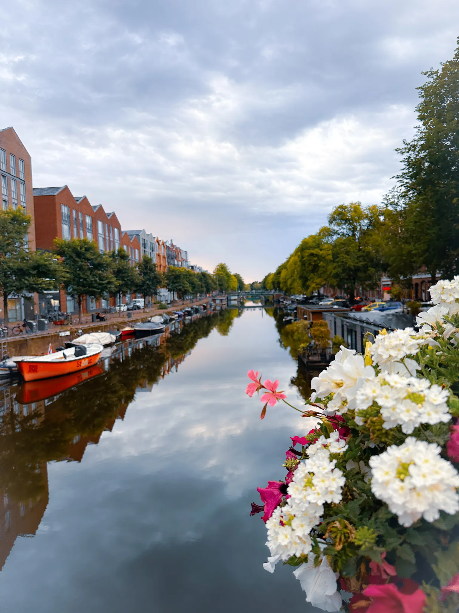 A canal running dead straight between new brick apartment blocks and a line of trees, a red open boat moored at the near bank, the grey sky doubled in still water and white and pink petunias over the bridge rail