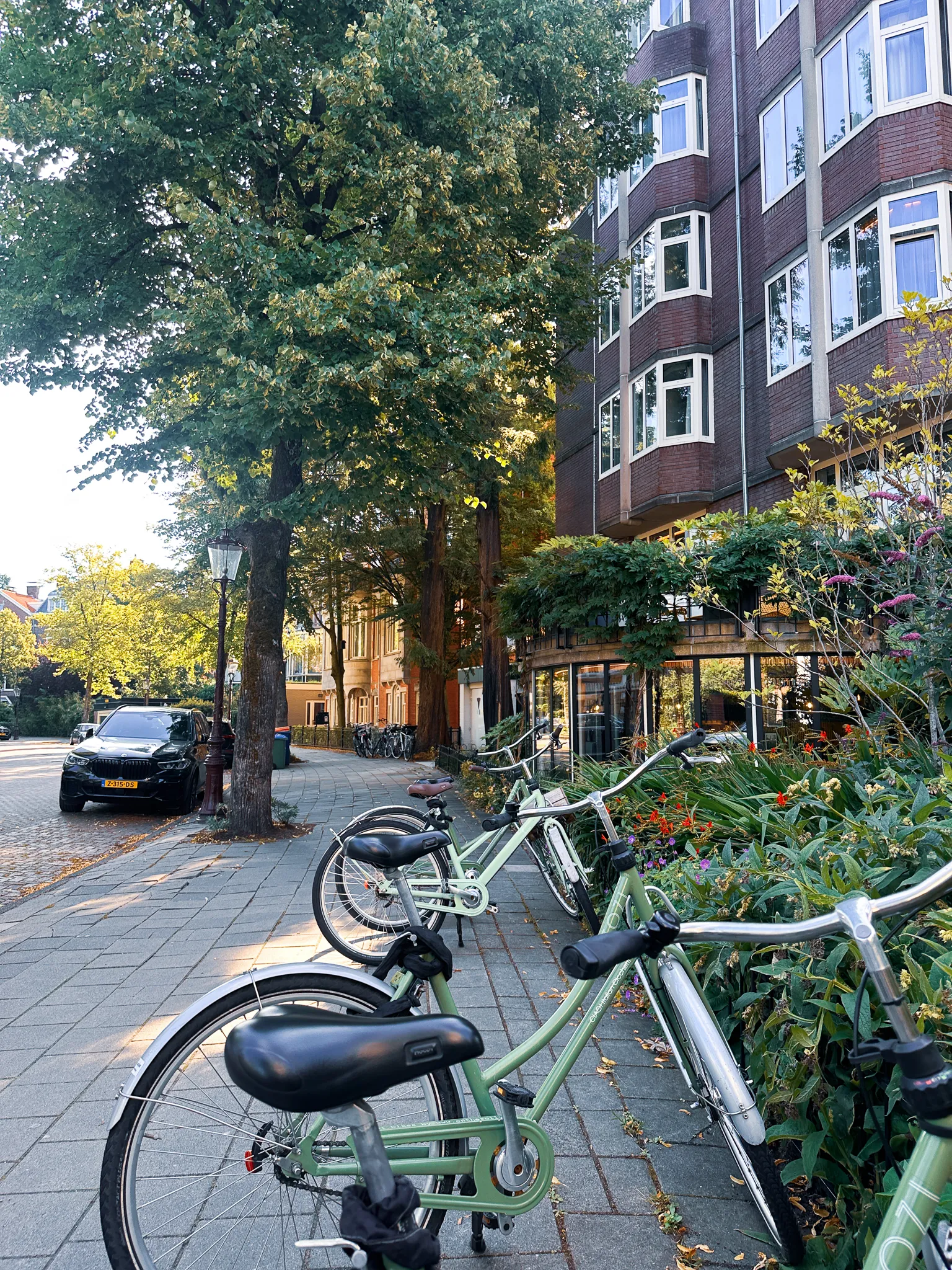 Early light on a quiet residential street, a row of pale green rental bikes parked along the kerb, a curved brick block with bay windows and window boxes behind and plane trees down the pavement