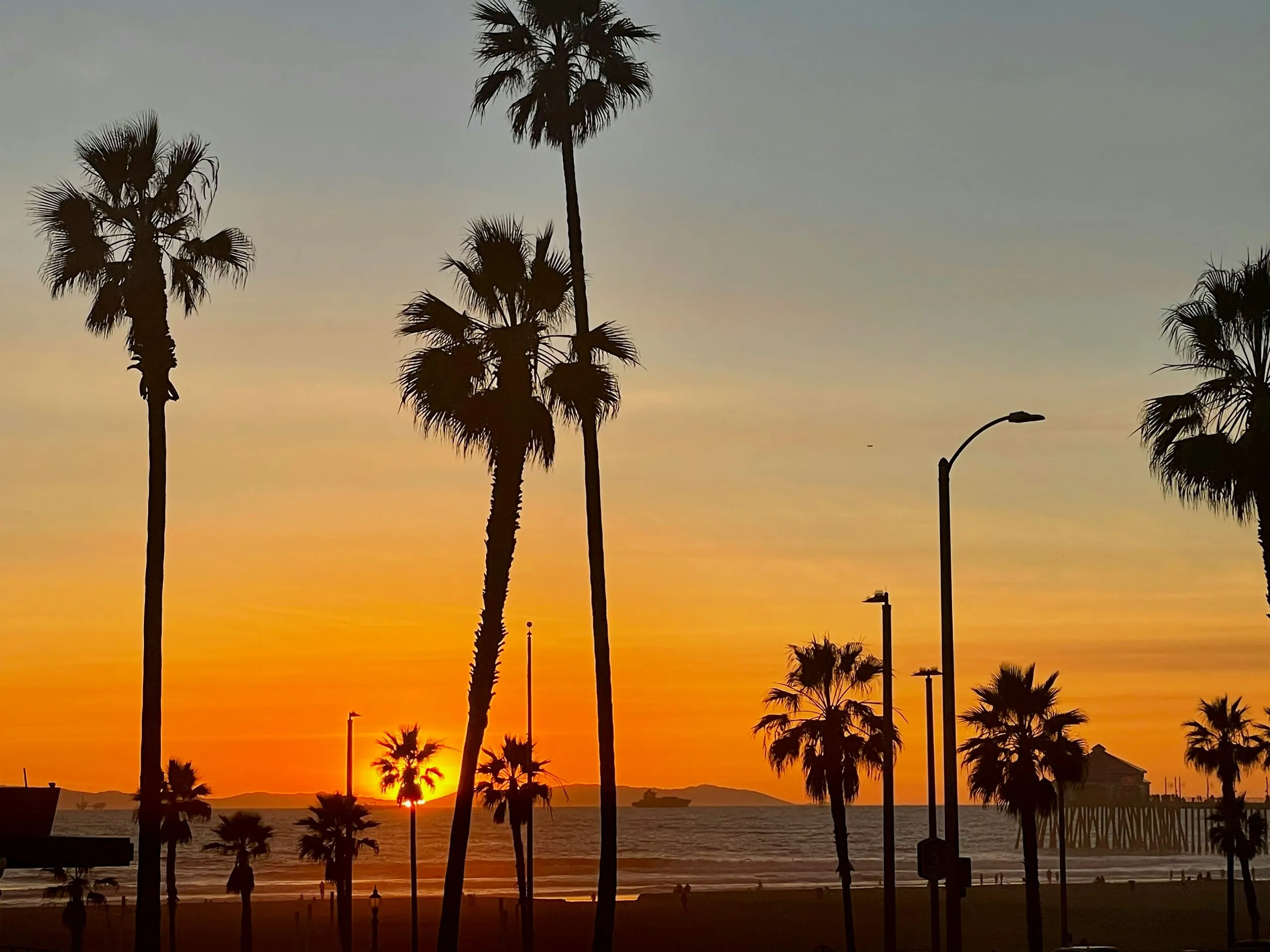 Palm trees and street lamps in silhouette against a burning orange sunset, the pier a dark line on the right