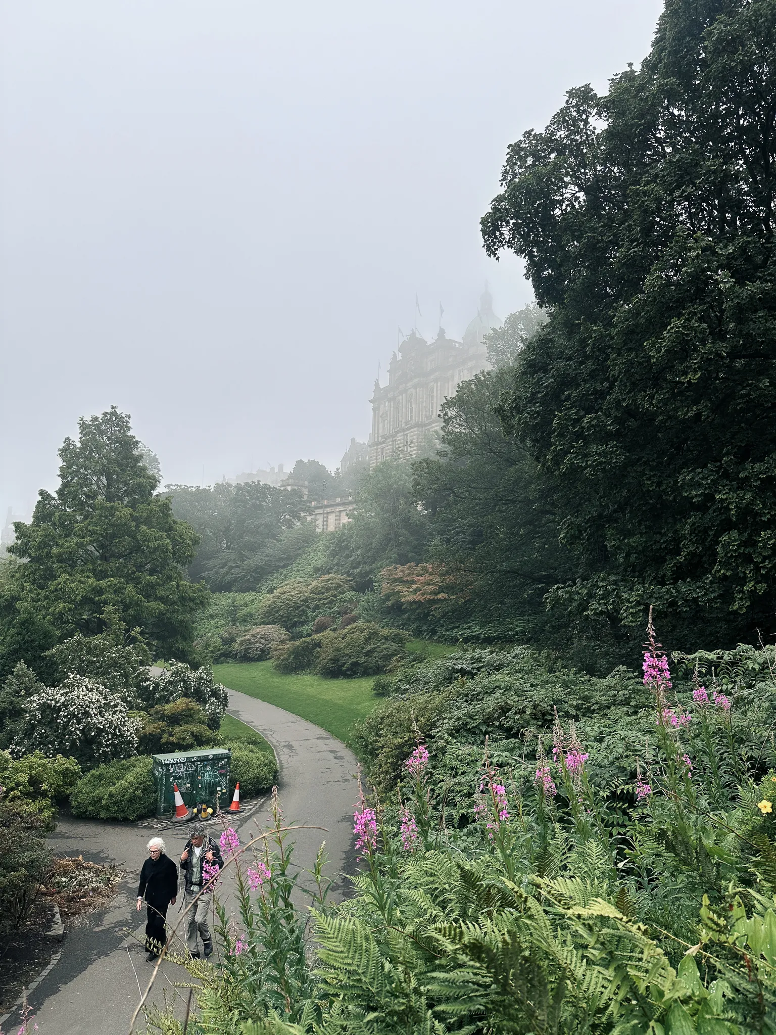 A path curling through Princes Street Gardens between ferns and rosebay willowherb, the bank above fading into the fog