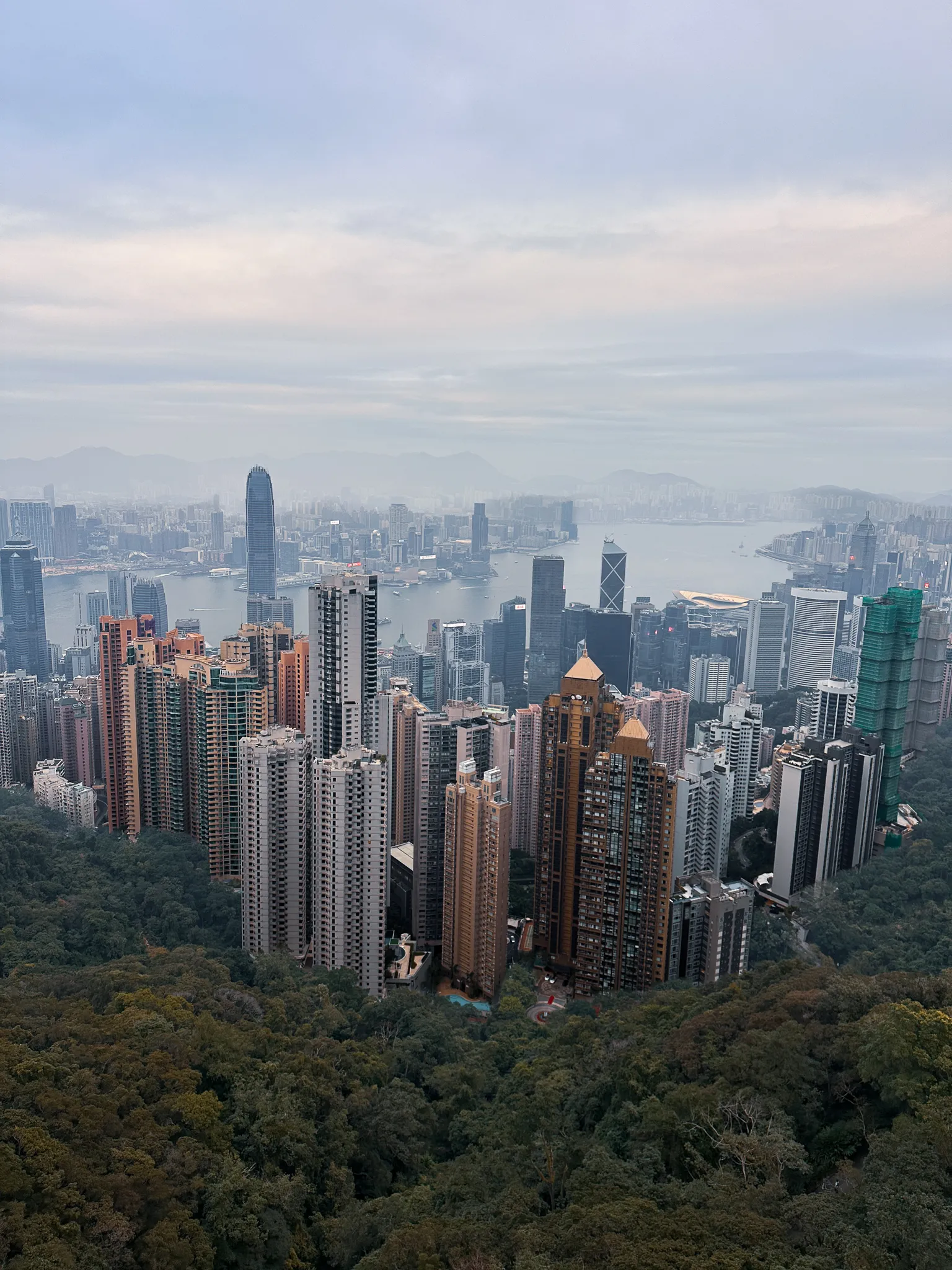 Towers pushing up through dense green hillside above Mid-Levels, the harbour and the far shore fading into soft grey behind them