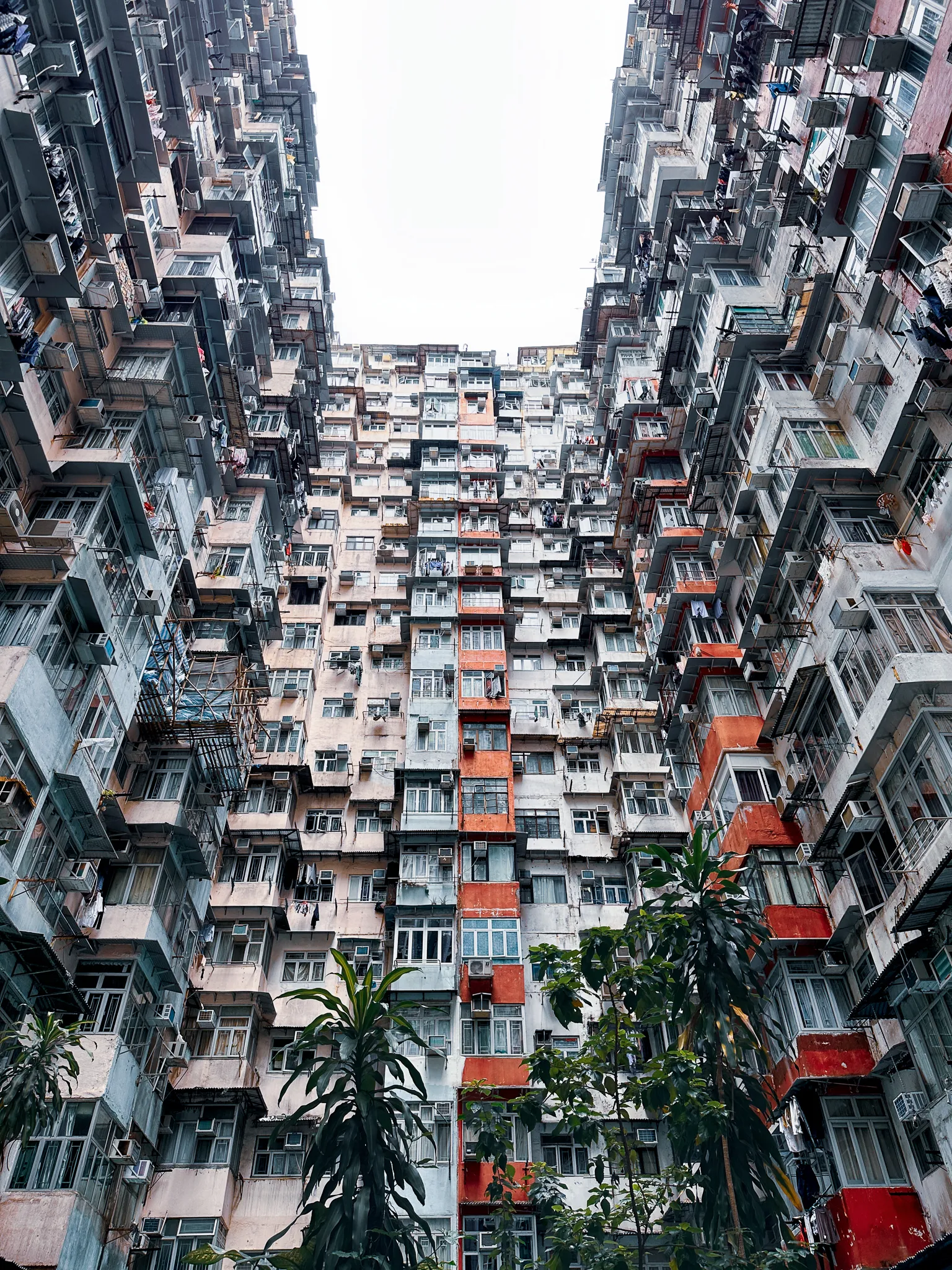 Looking up into the courtyard of the Monster Building at Quarry Bay, hundreds of flats stacked around a bright square of sky with a palm tree at the bottom