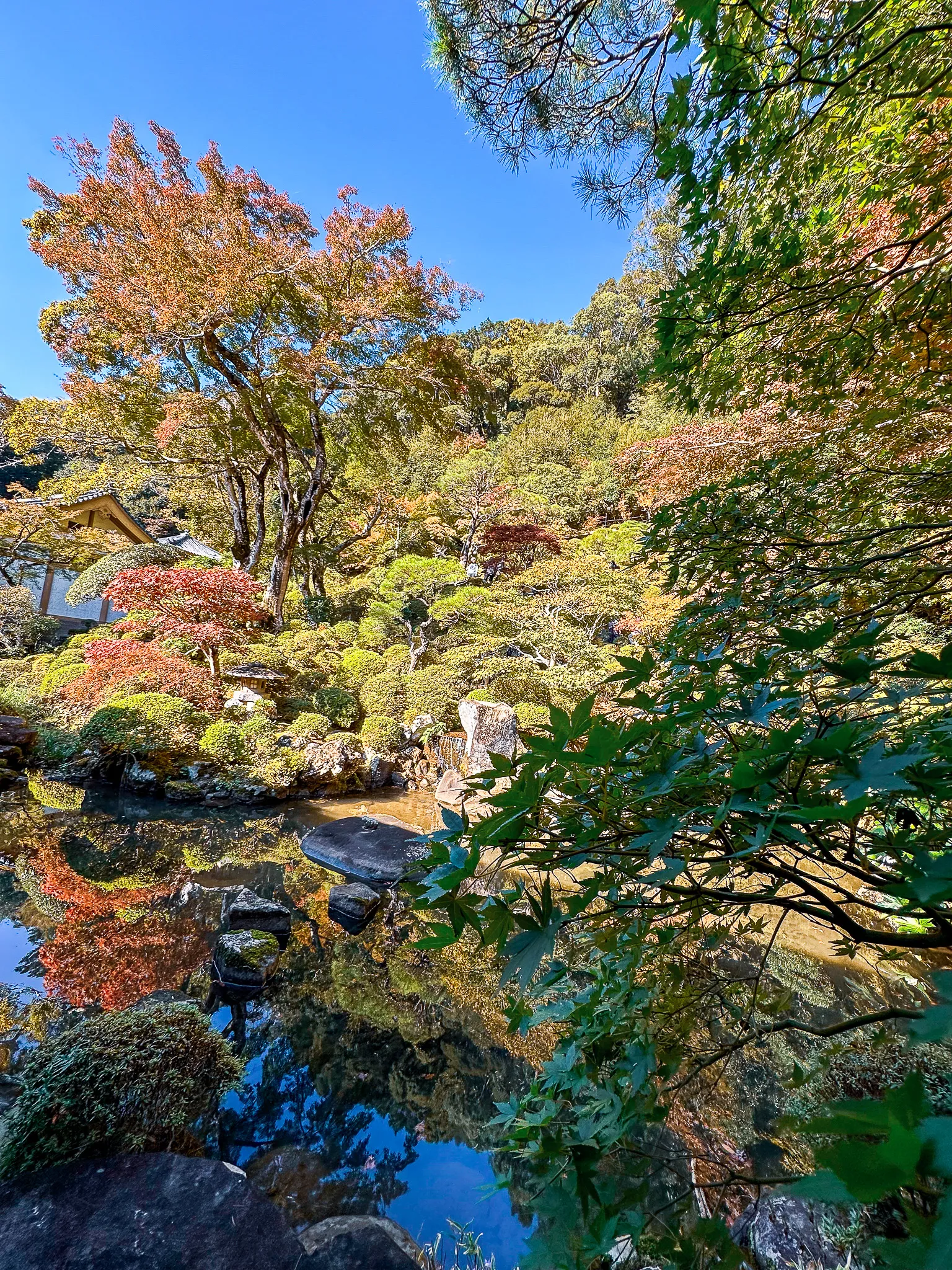 The garden's pond with clipped shrubs stepping up the hillside behind it, one maple gone red, the whole slope repeated upside down in the still water