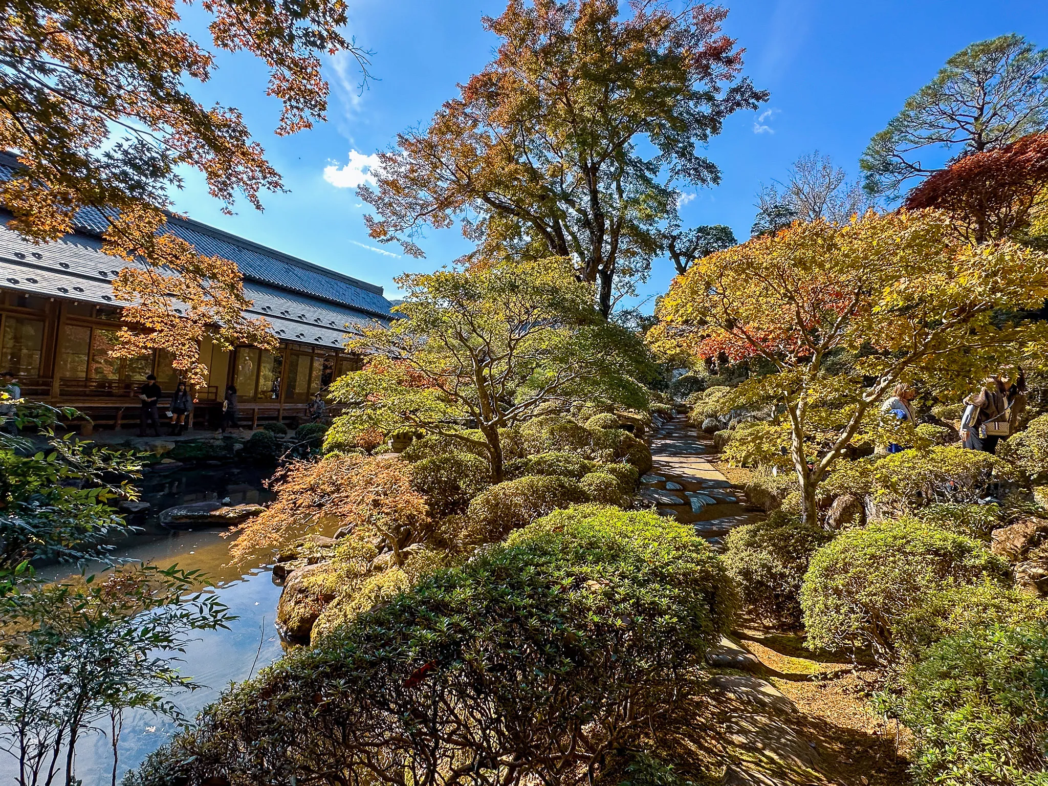 A temple garden in autumn - a low wooden hall on the left with visitors sitting along its veranda, a dark pond, clipped shrubs and a stone path climbing between maples