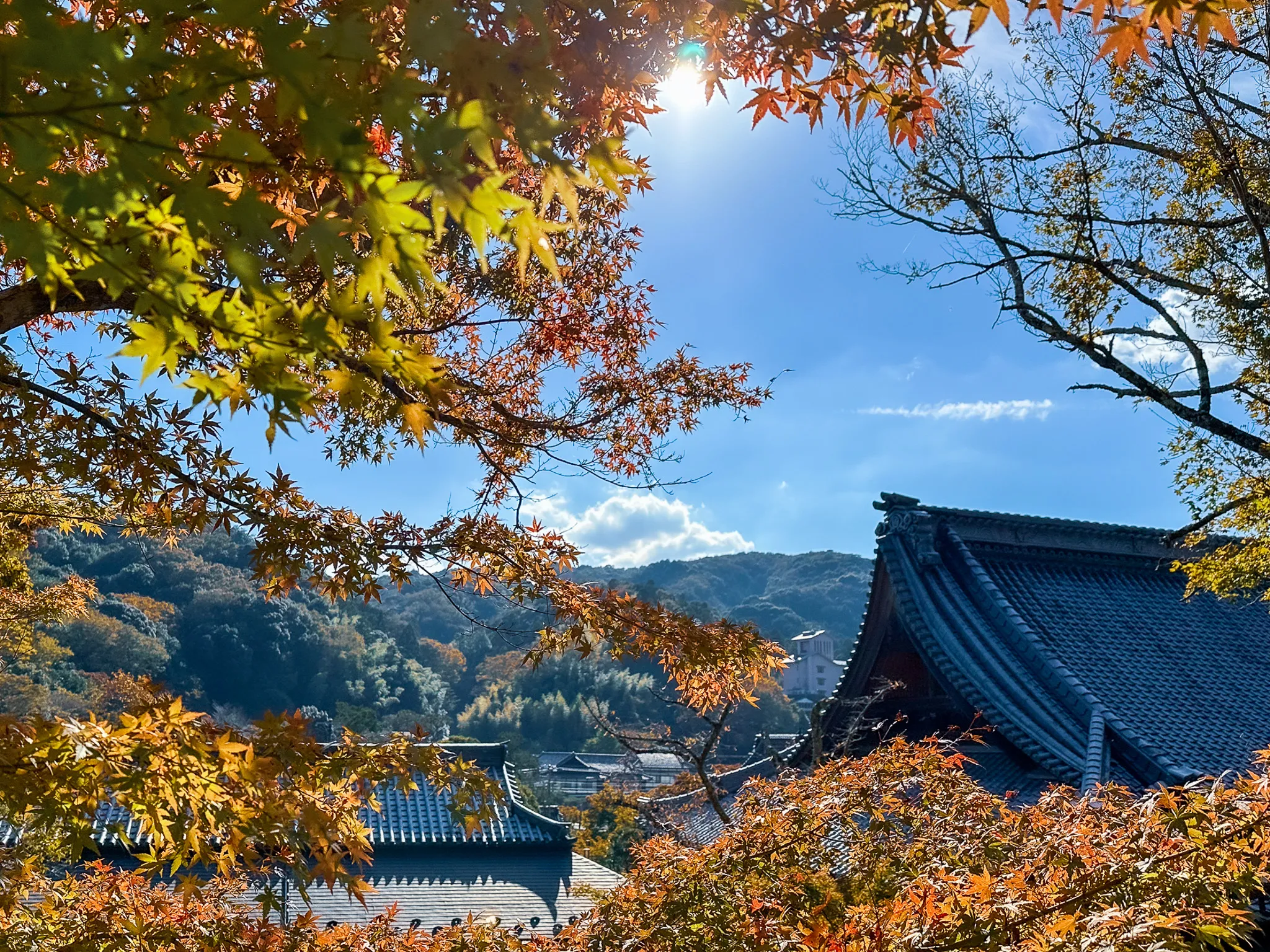 A temple's blue-tiled roof and upswept gable seen through a frame of maple leaves turning red and gold, the sun flaring at the top and wooded hills behind