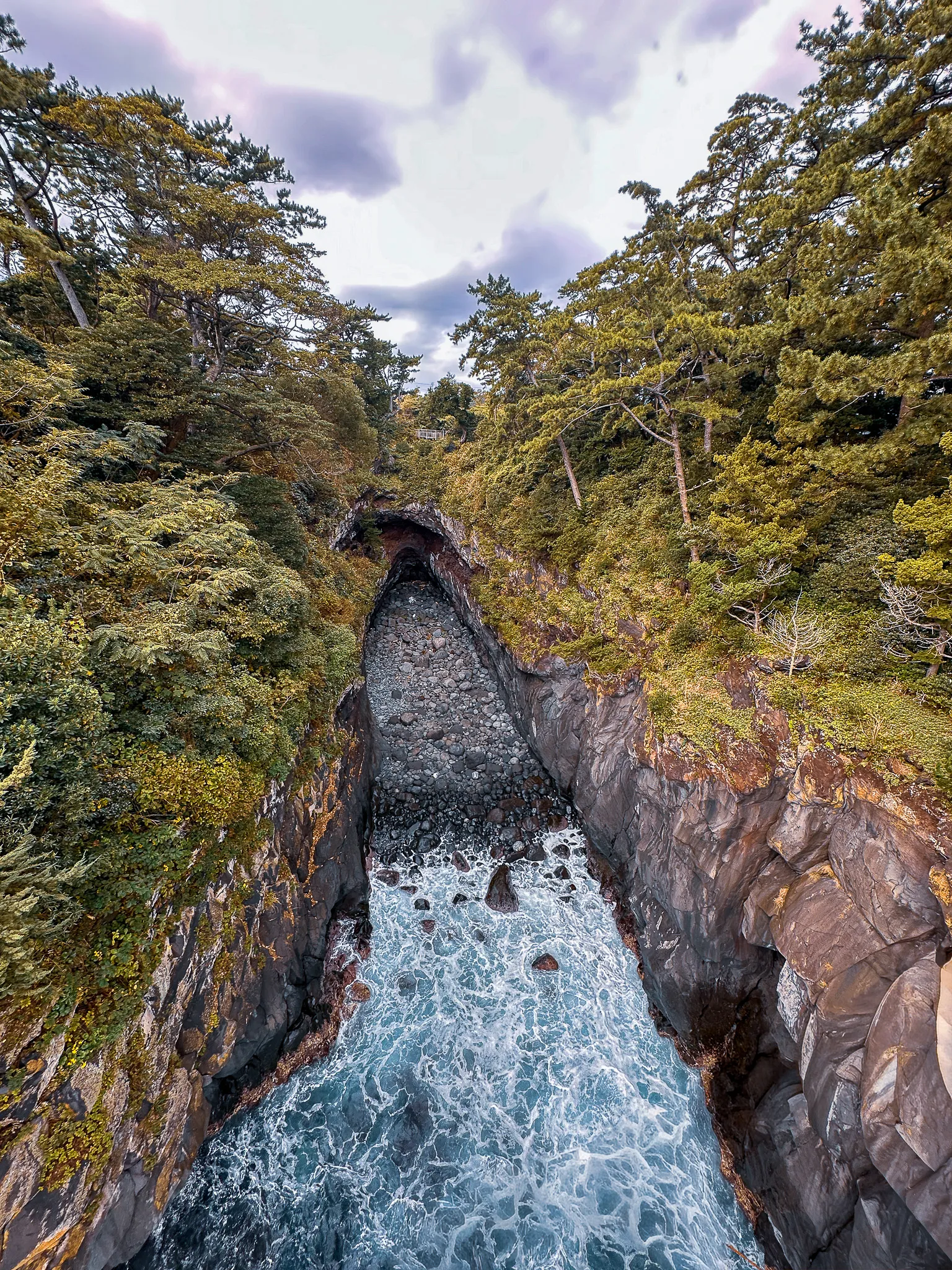 Looking down into a narrow chasm in the lava from the bridge, white surf pushing up the gap between sheer dark walls, pines leaning in from both sides