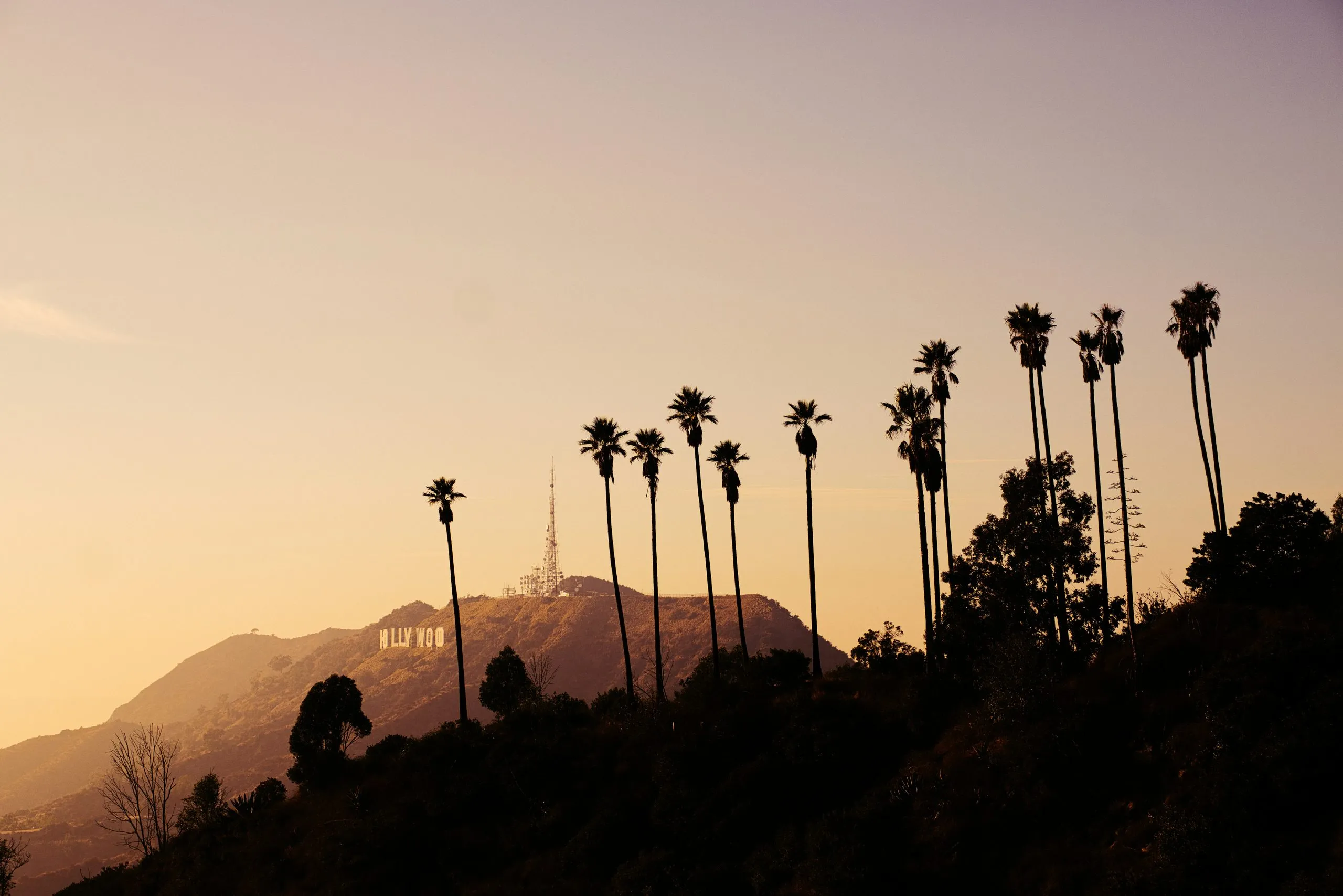 A row of tall palms in silhouette along a dark ridge against a deep orange sunset