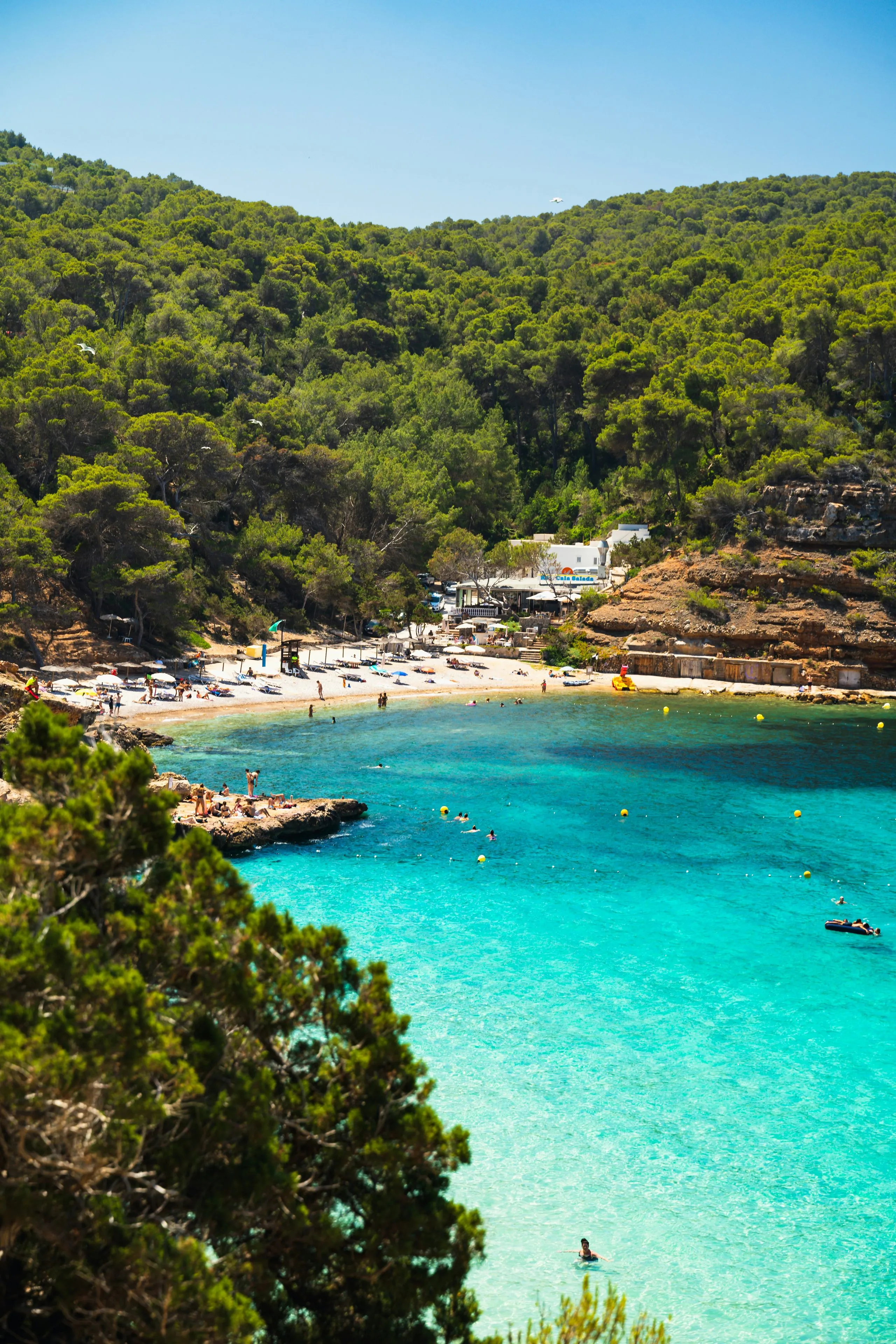 A turquoise cove below steep pine-covered hills, sunbeds set out along the small beach at its head