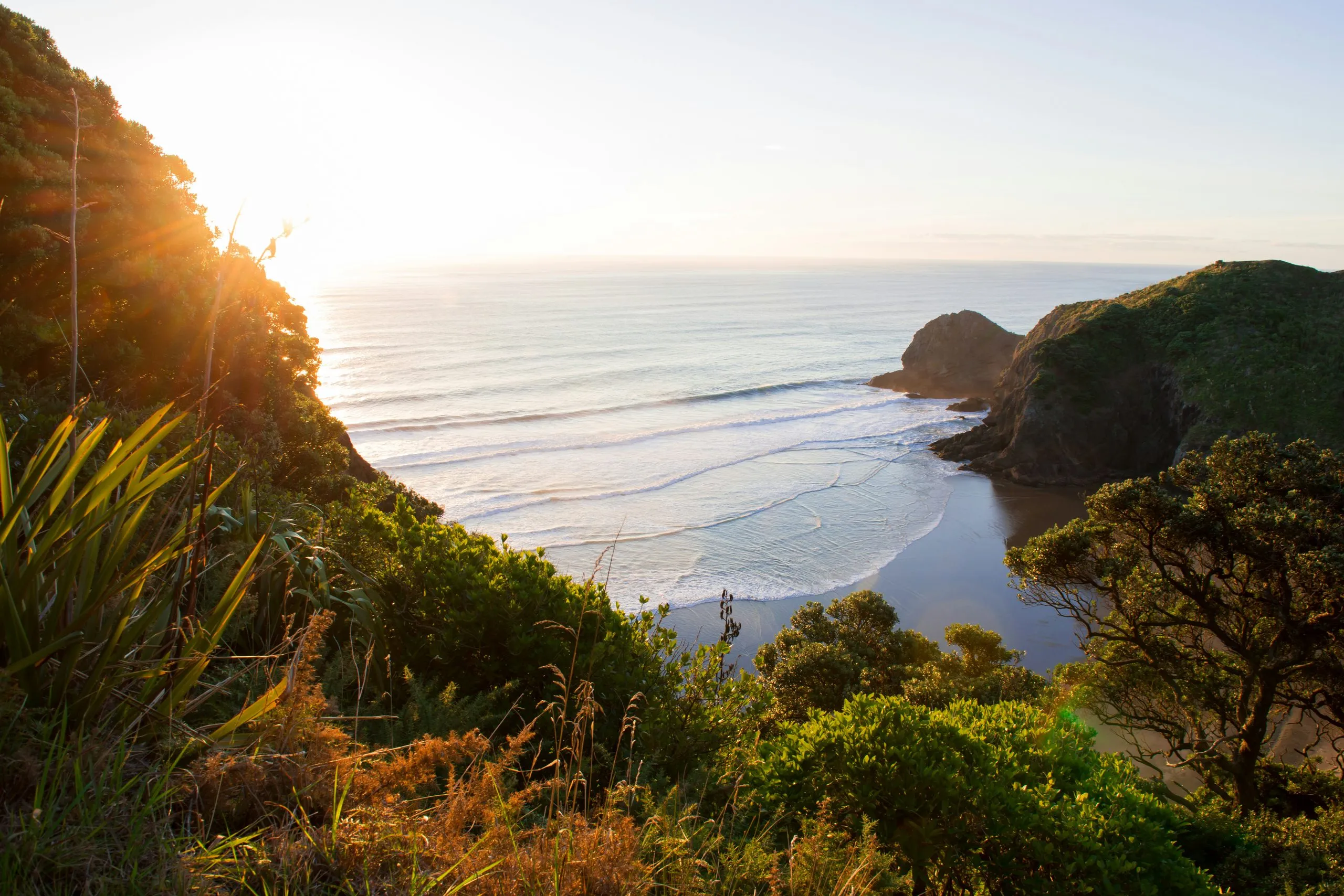 Low sun over a west-coast surf beach seen through coastal scrub from the clifftop above