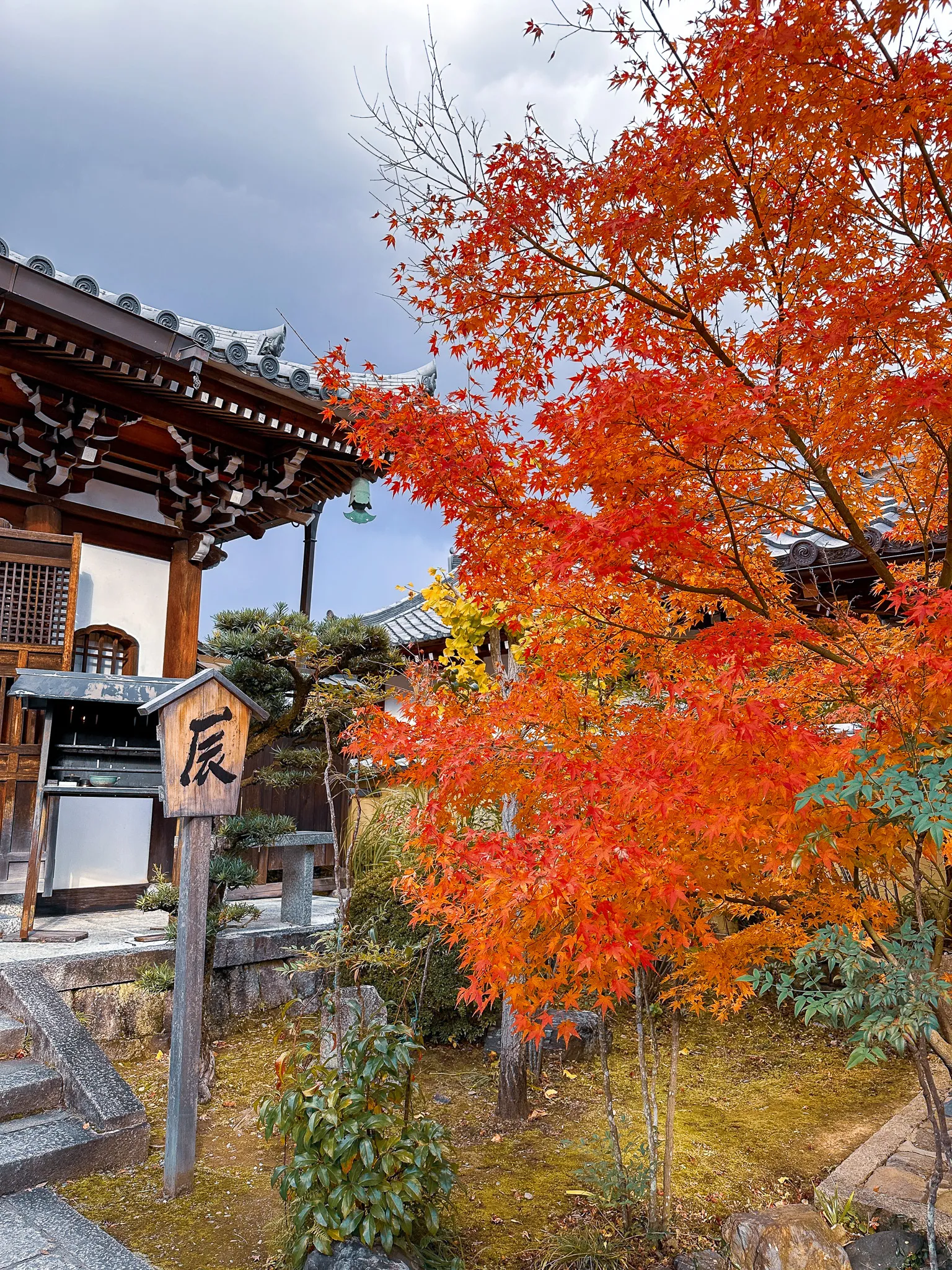A maple in full orange and red beside a temple's tiled gate roof, a wooden signboard standing in front of it and moss growing over the stone steps below