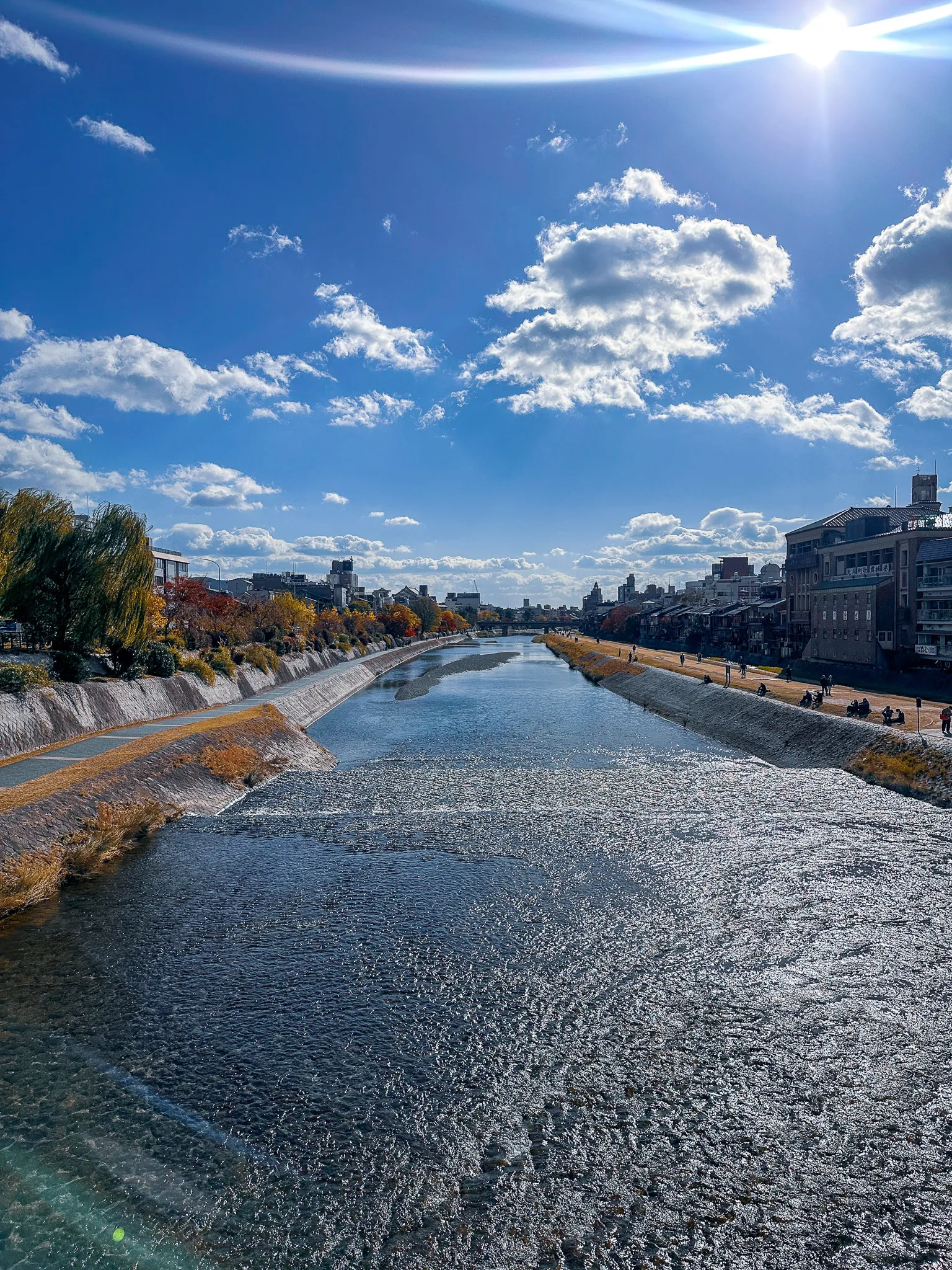 The Kamo river seen straight down its course from a bridge, the sun flaring over the buildings on the right bank and willows turning yellow on the left