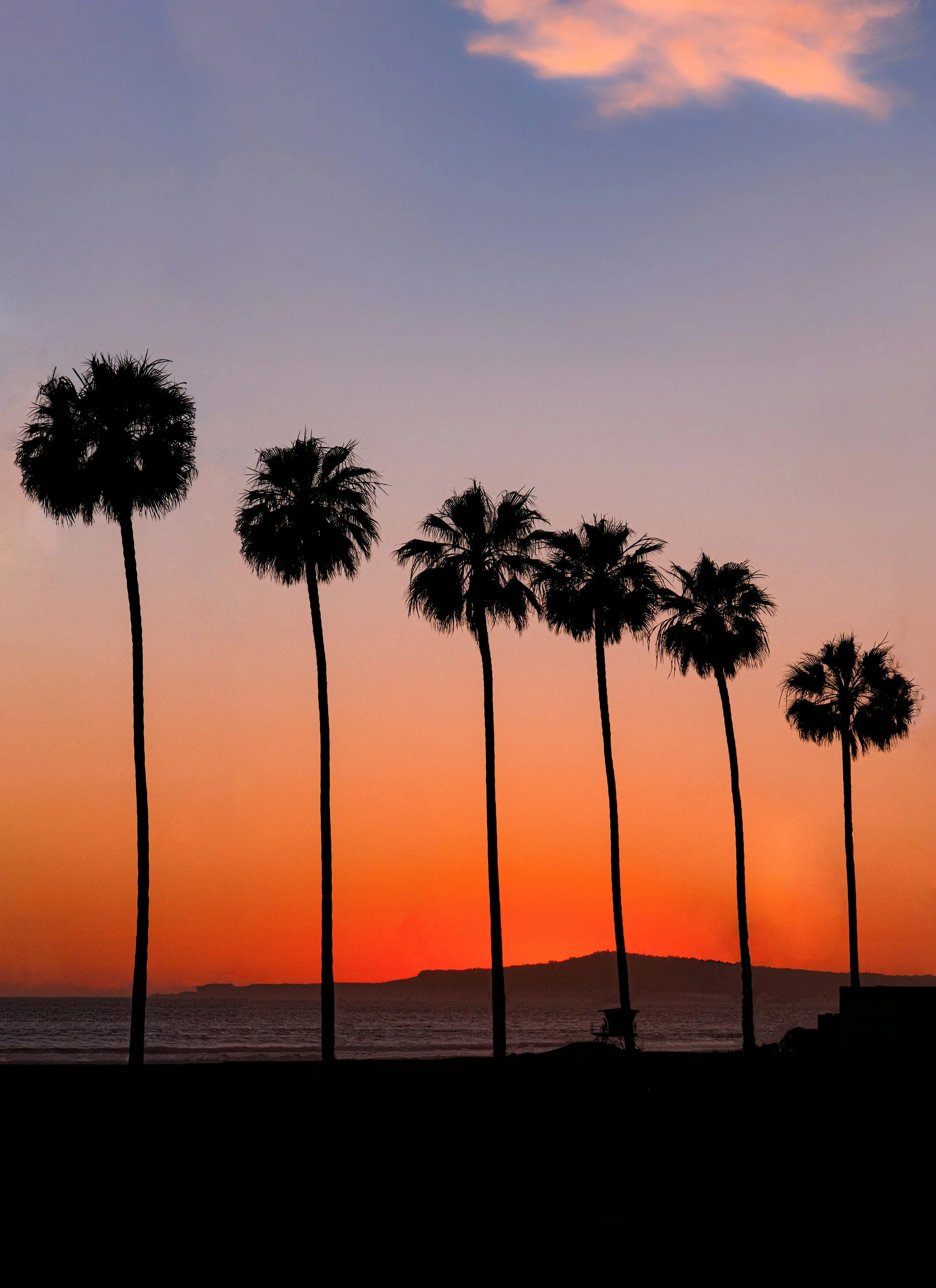Seven palms in silhouette against a red and violet sunset, an island low on the horizon behind them