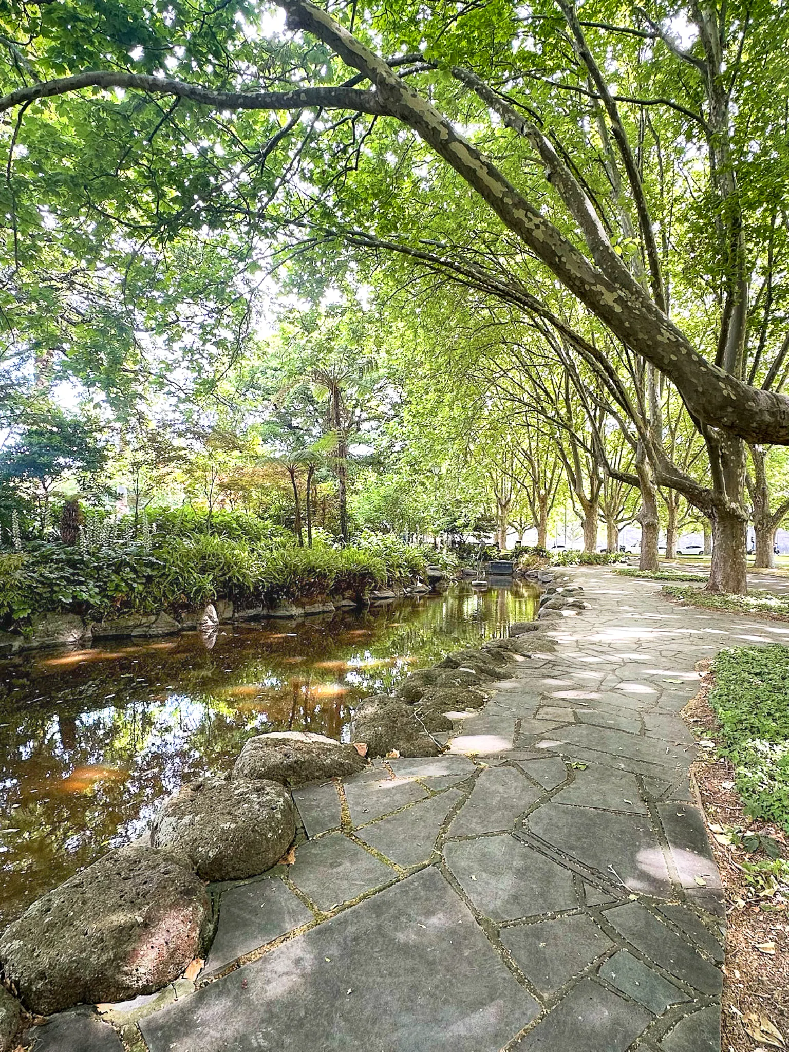 A flagstone path beside a still stream under old plane trees
