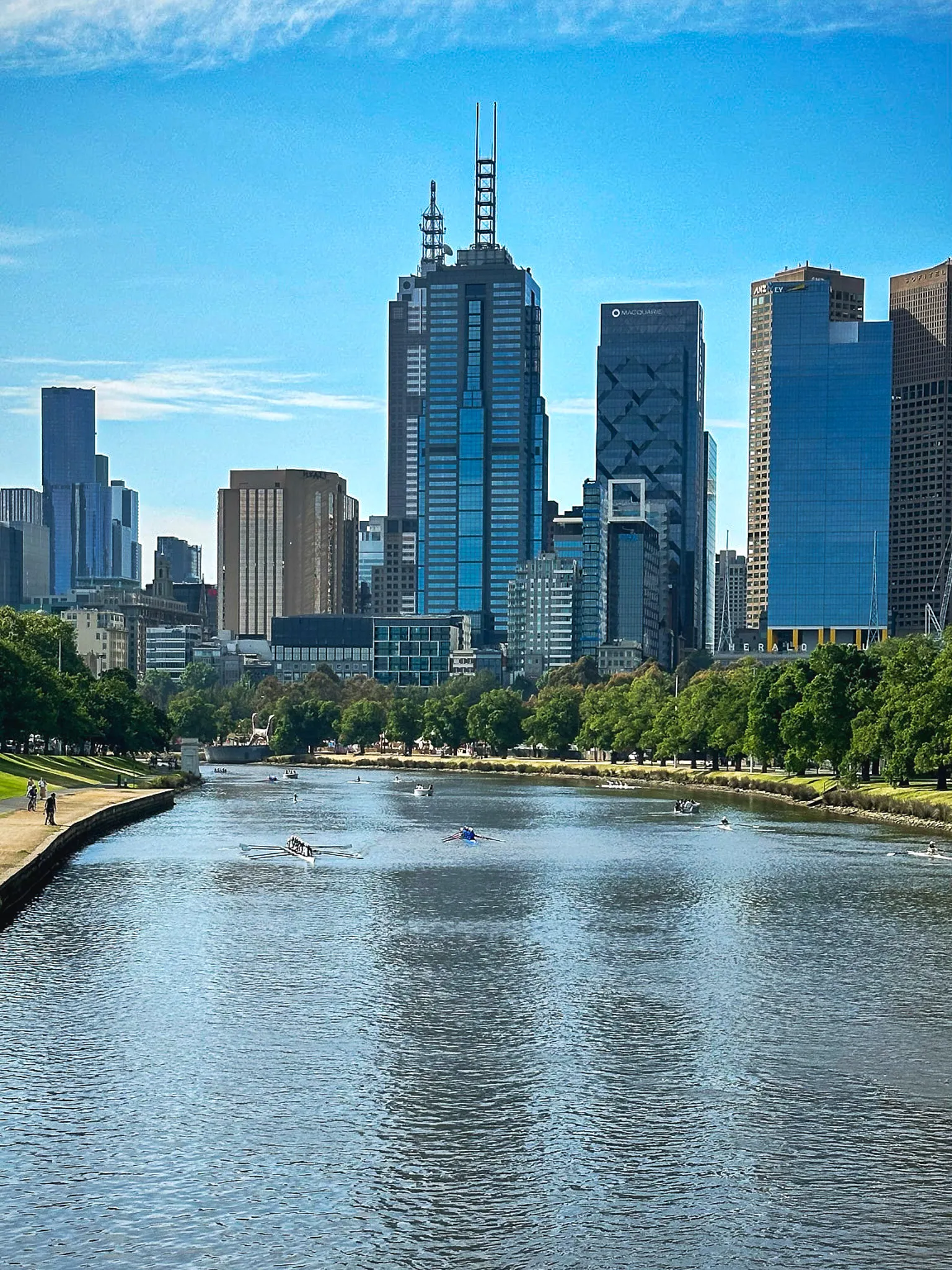 The Yarra seen from a bridge with rowers on the water and the CBD towers beyond
