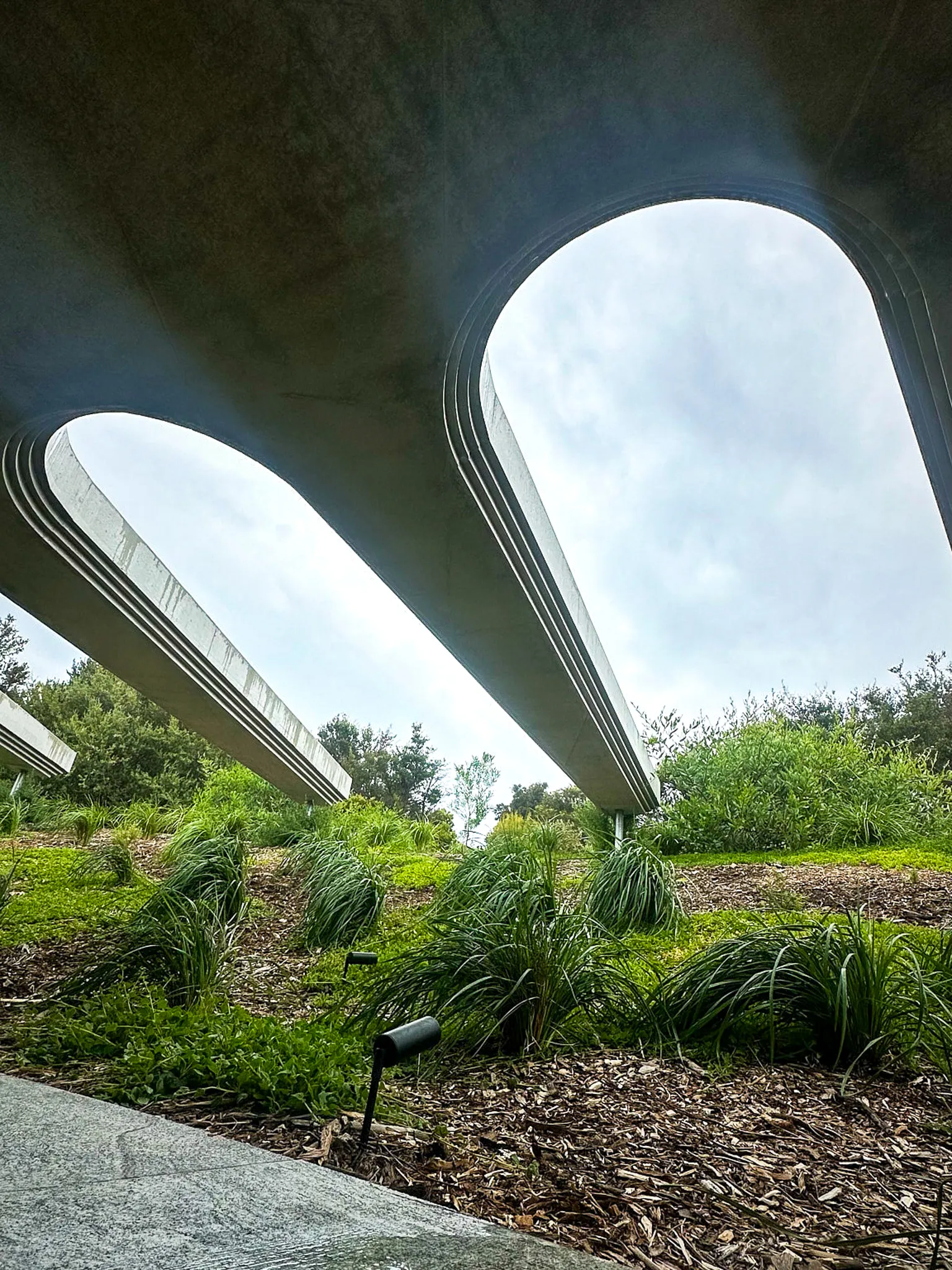 The undersides of curved concrete arcs above native planting under a grey sky