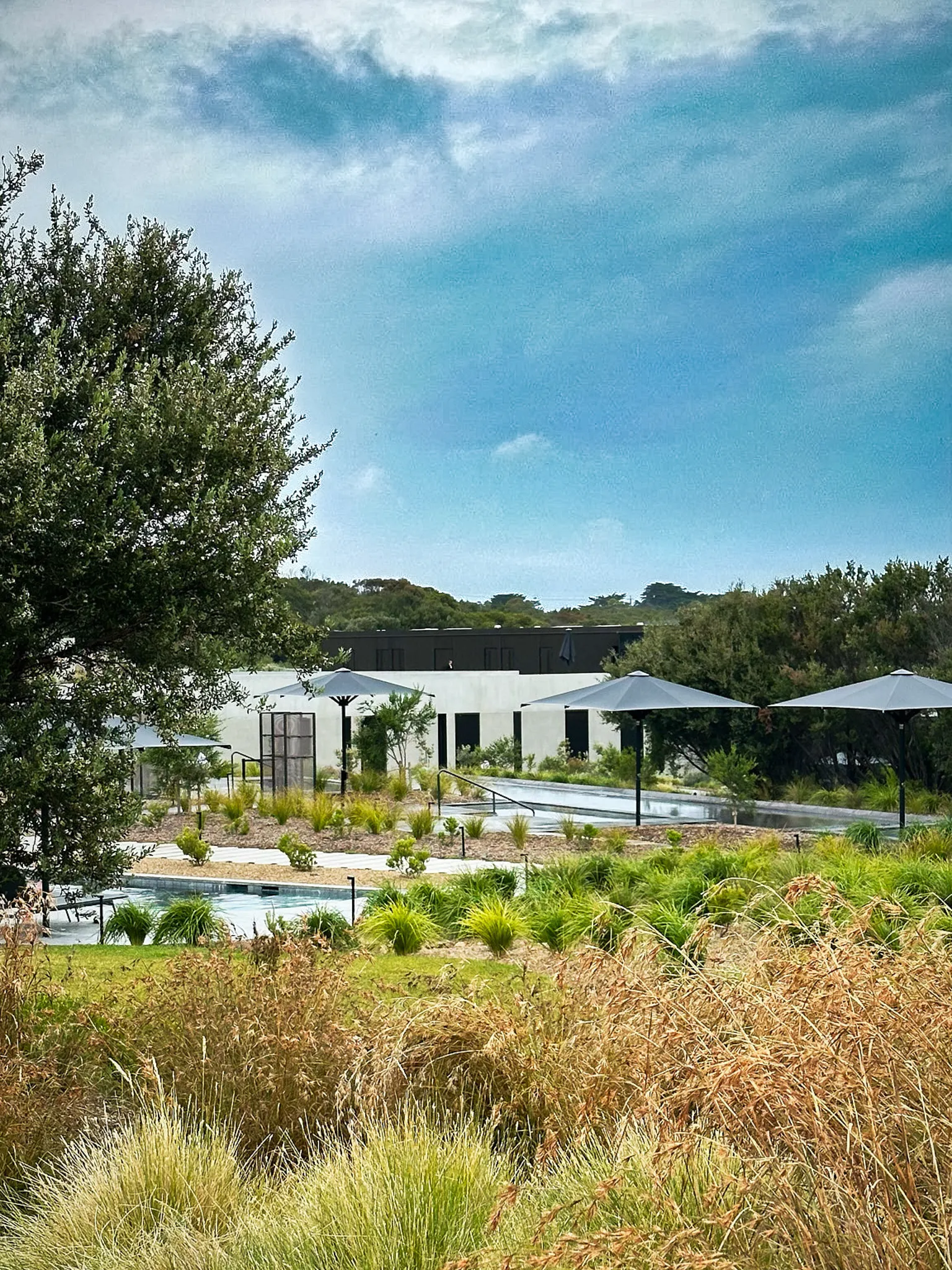 A low modern building with shade umbrellas and a pool, seen across native grasses