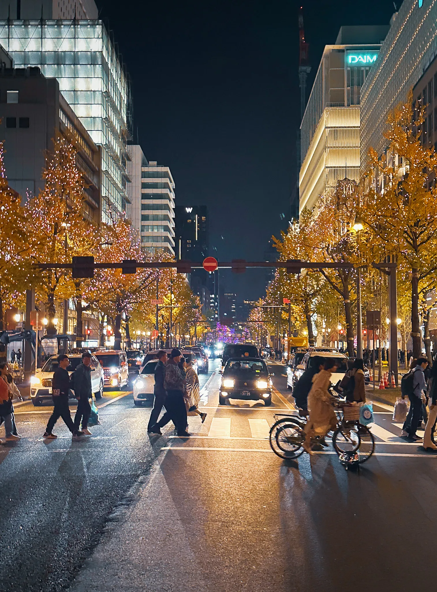 A wide boulevard at night, the ginkgo trees down both sides strung with lights, a taxi at the crossing, a cyclist and people walking over