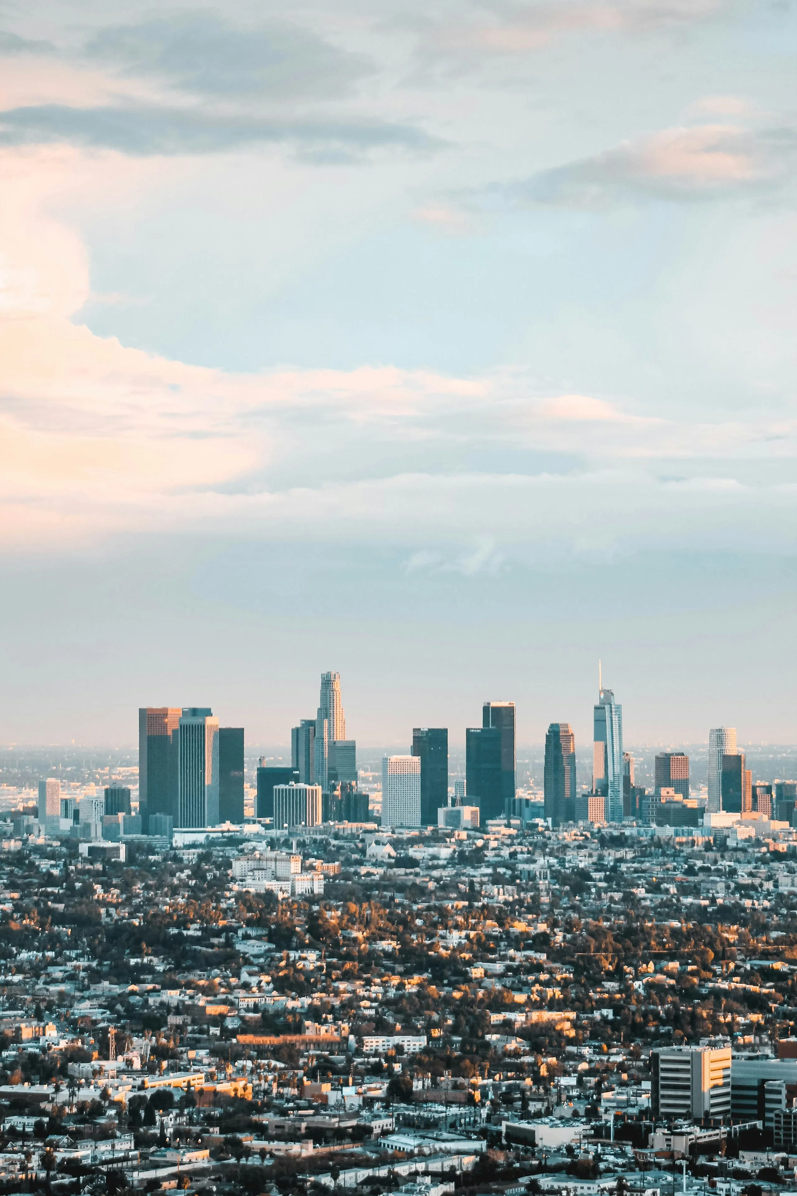 The downtown cluster standing above a wide grid of low rooftops at dusk, soft cloud spread across the sky