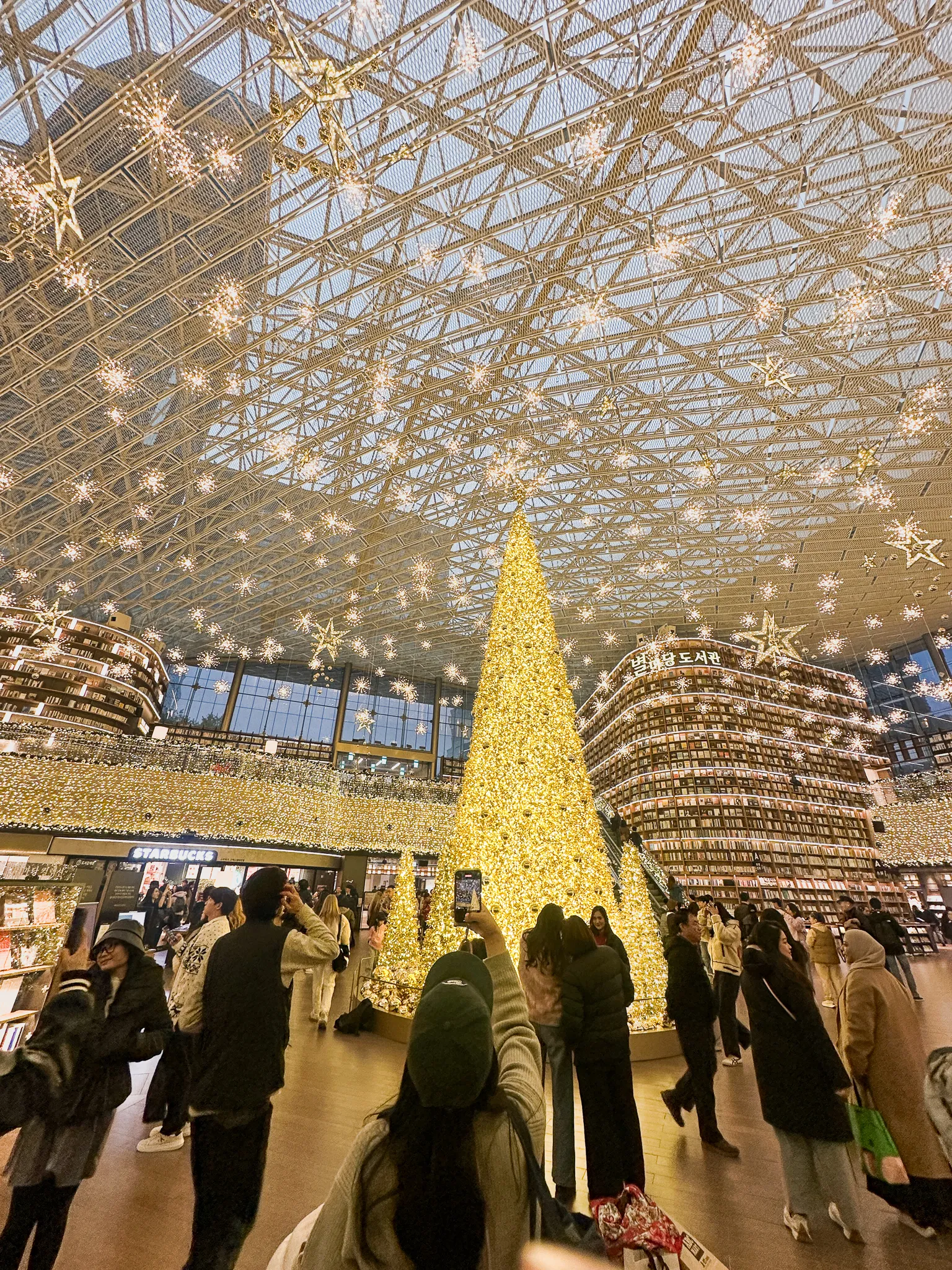 A vast atrium under a lattice roof strung with star lights, a huge gold-lit Christmas tree in the middle and two curved towers of bookshelves rising either side, crowds photographing it