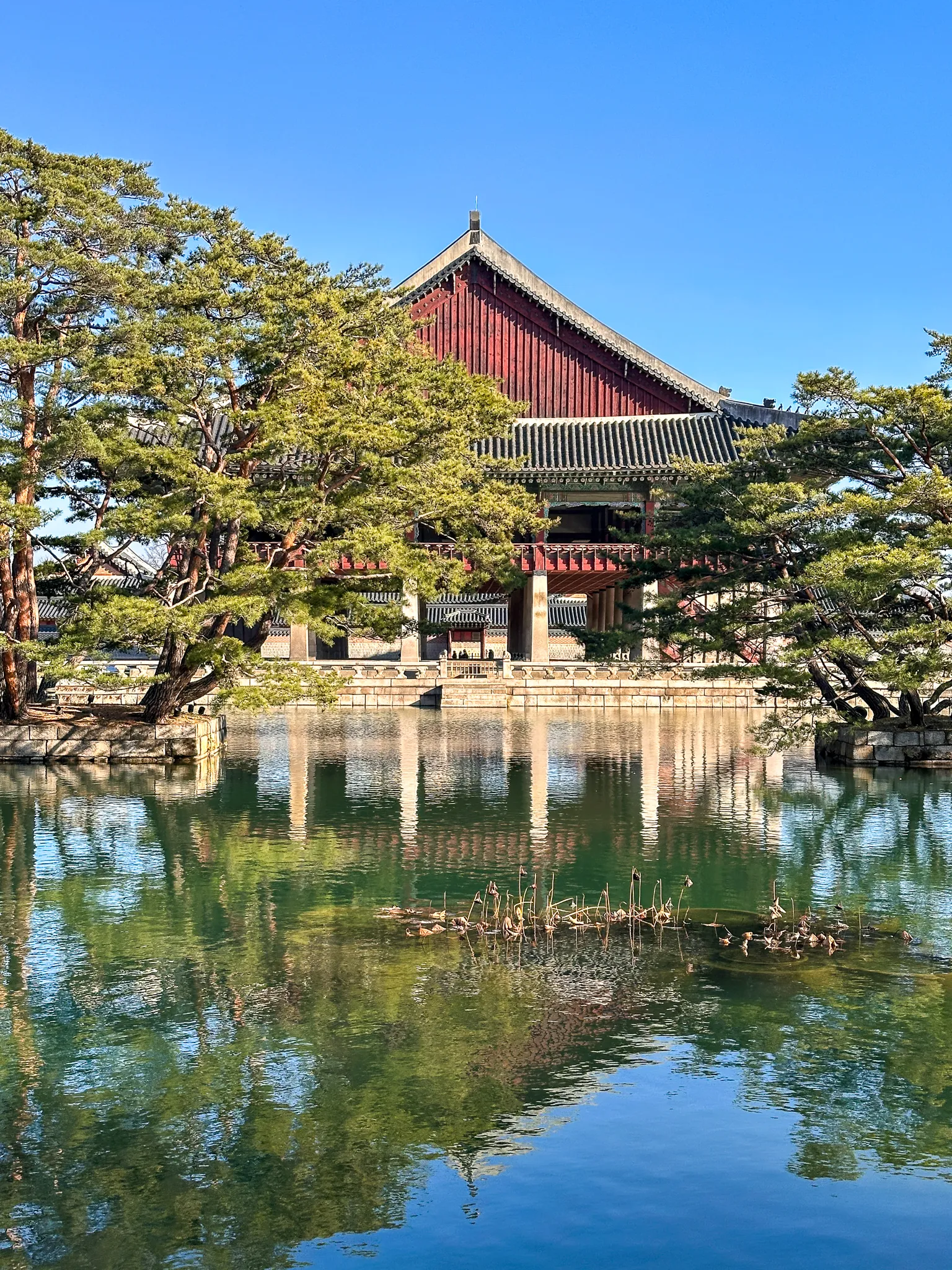 The banquet pavilion behind a screen of pines, its red beams and stone pillars doubled in the green water, a clump of dead reeds and a raft of ducks in the middle