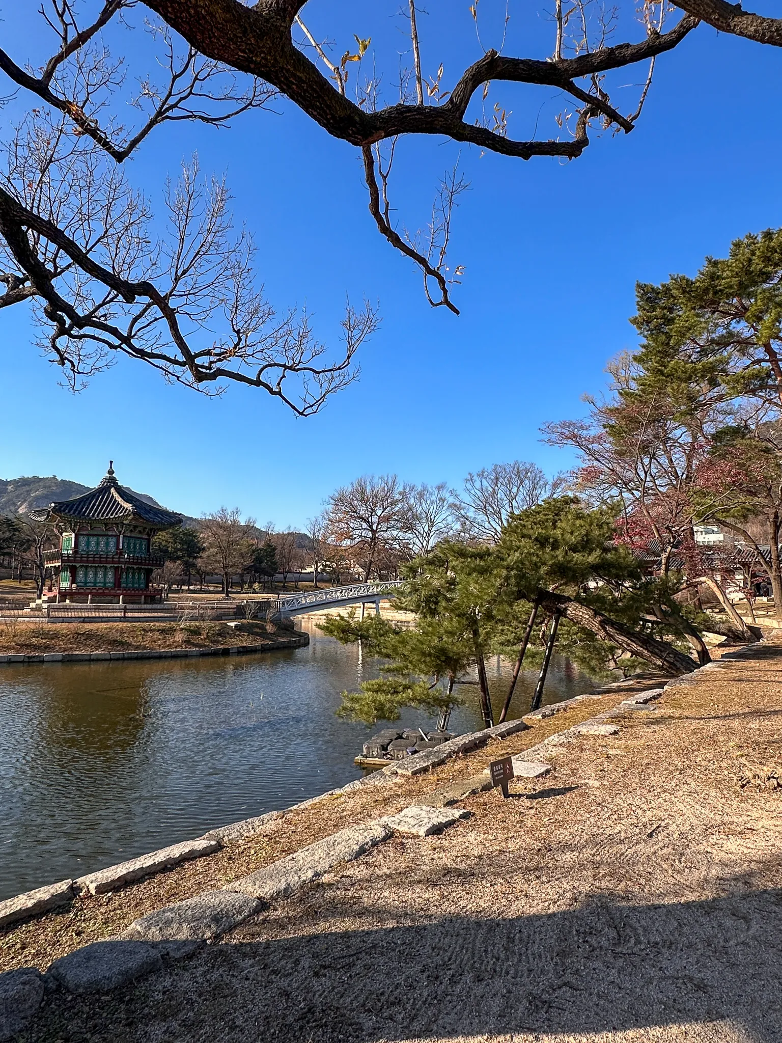 The pavilion seen small across the water from under a bare branch, pines leaning out over the bank and a dry gravel path running along the near shore