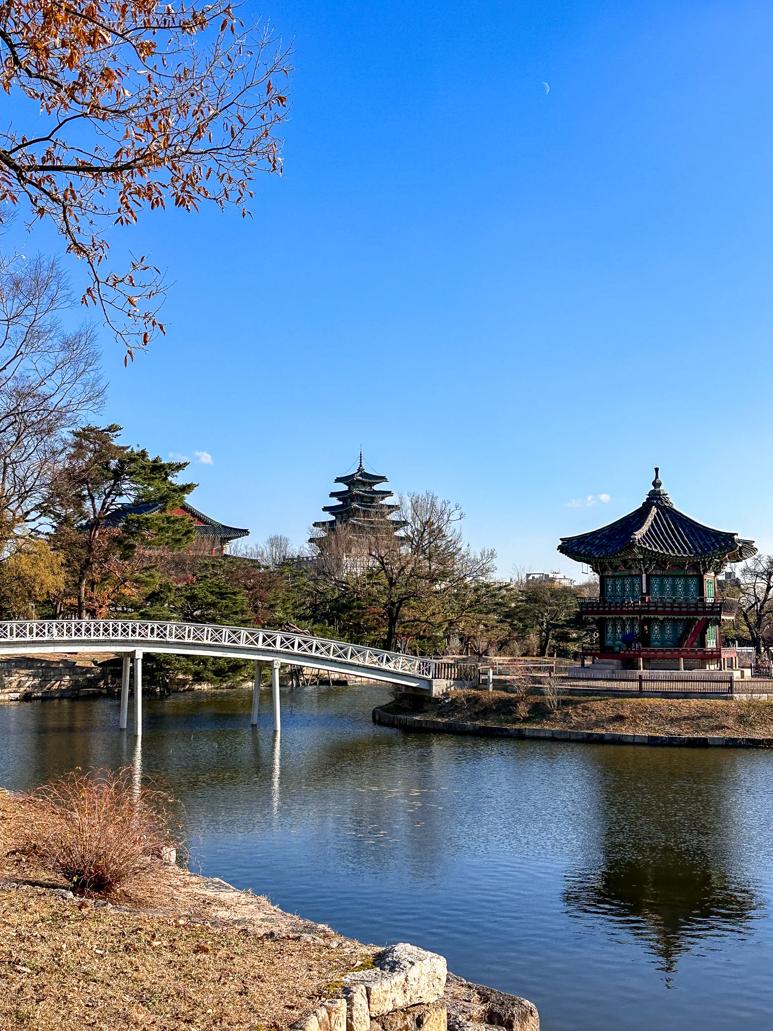 The white arched footbridge crossing to the pavilion's island, a five-storey tower on the skyline between them, a branch of rust-coloured leaves hanging into the top left