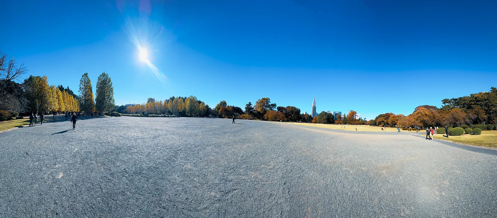 A wide panorama of a park lawn ringed by autumn trees, the sun flaring overhead and a tall tower on the skyline beyond