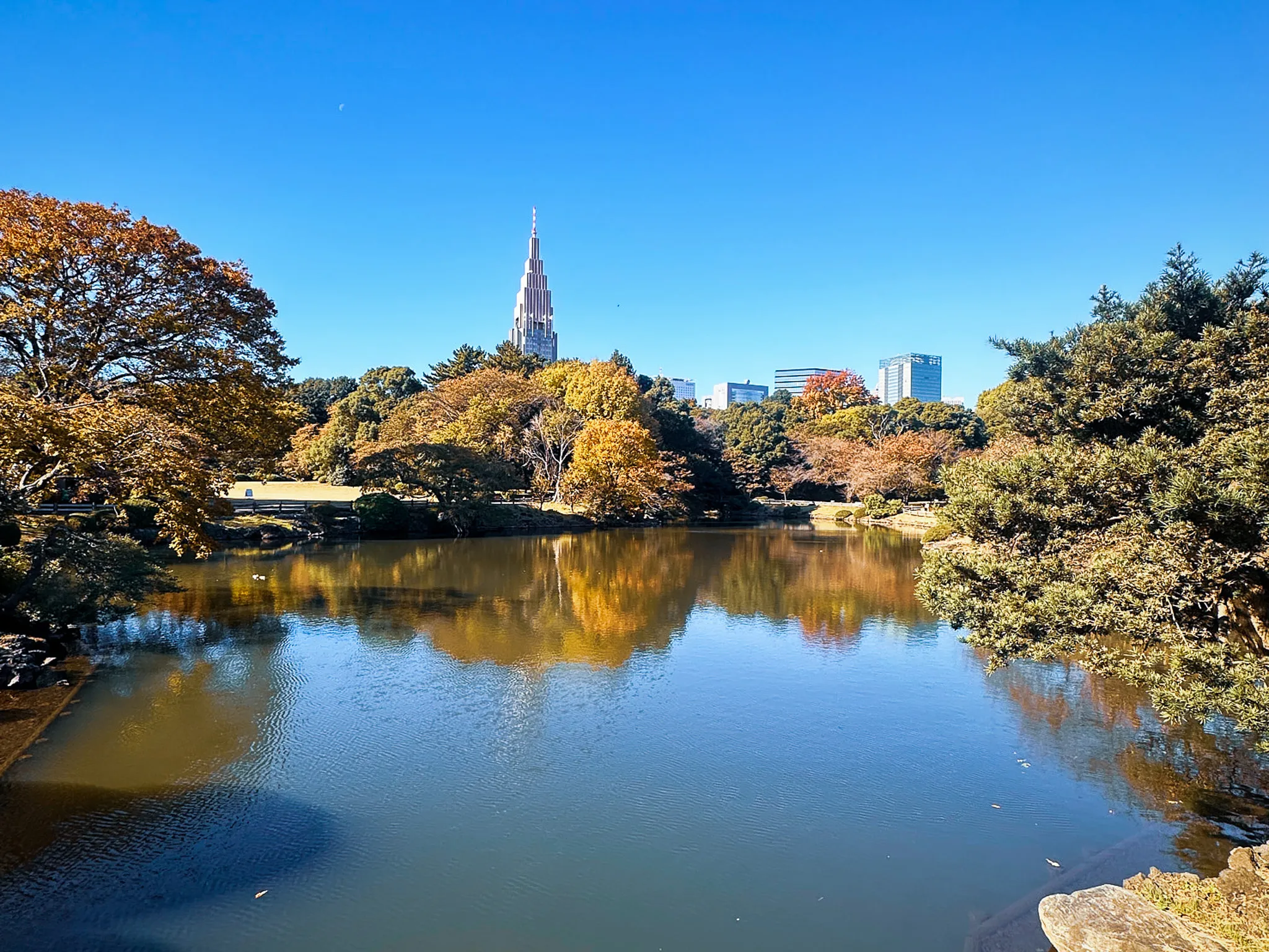 A garden pond ringed by autumn maples, their colour doubled in the still water, a tall stepped spire on the skyline beyond