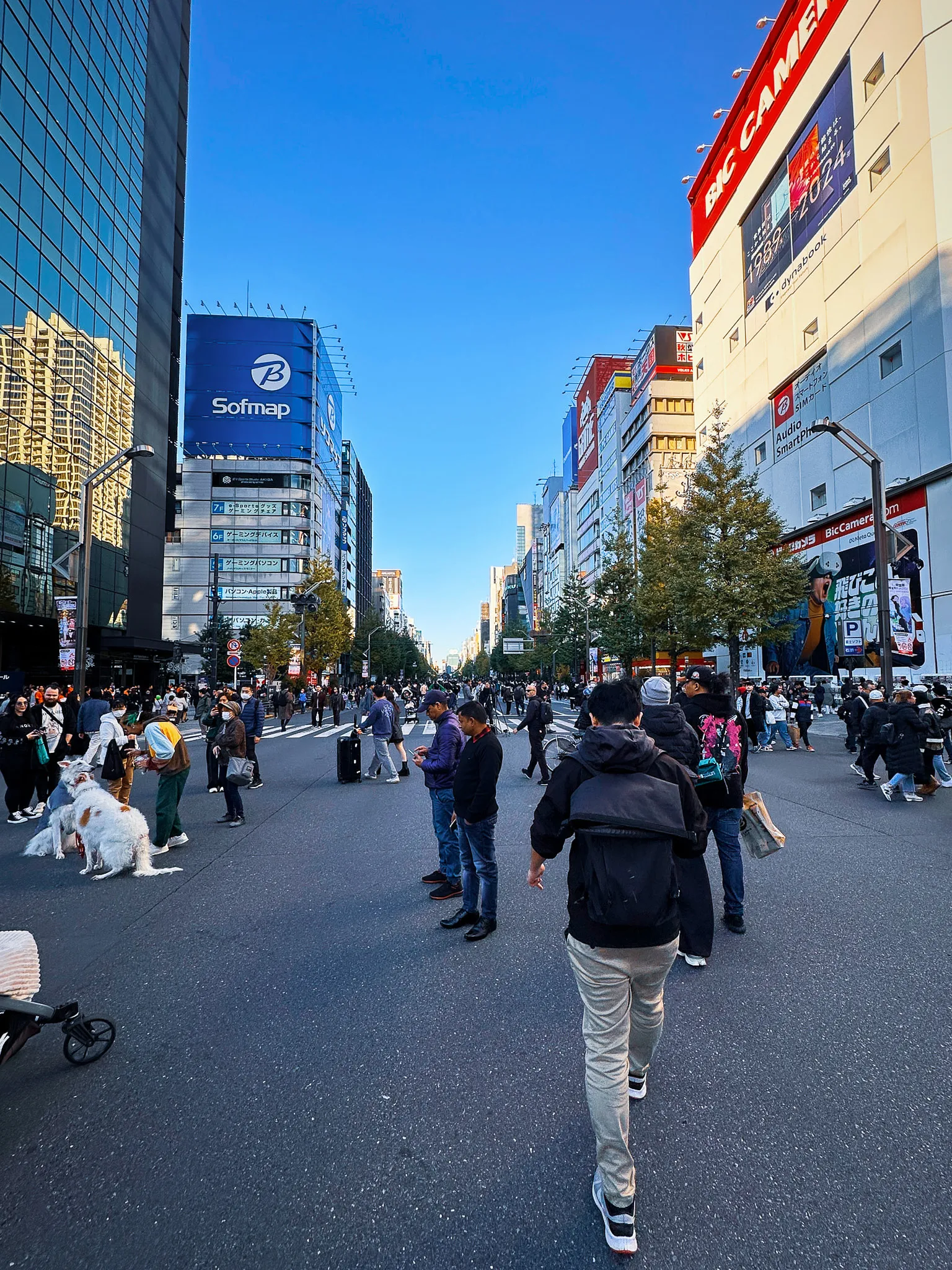 A broad Akihabara street closed to cars, people standing and walking down the middle of the road, electronics signs on the buildings either side