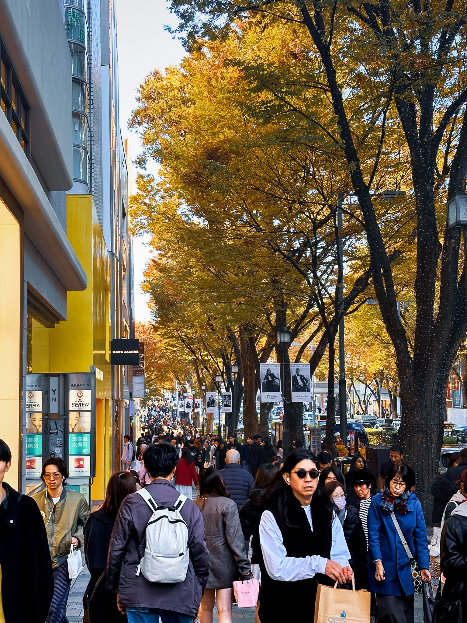 A crowded pavement under a canopy of yellowing trees on Omotesando, shopfronts running along the left