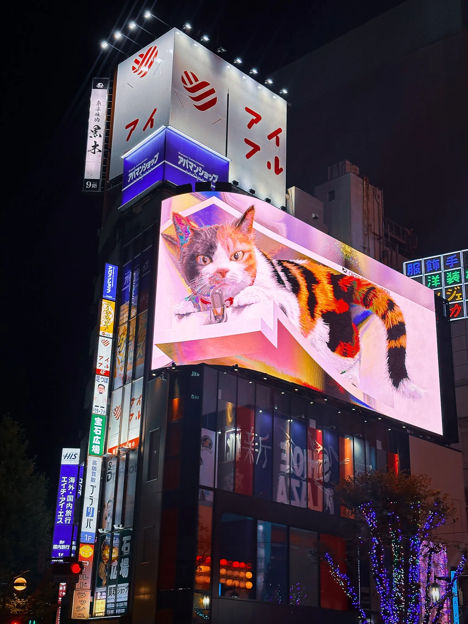 A large curved screen on a Shinjuku corner at night showing a calico cat stretched out, neon signage stacked below it