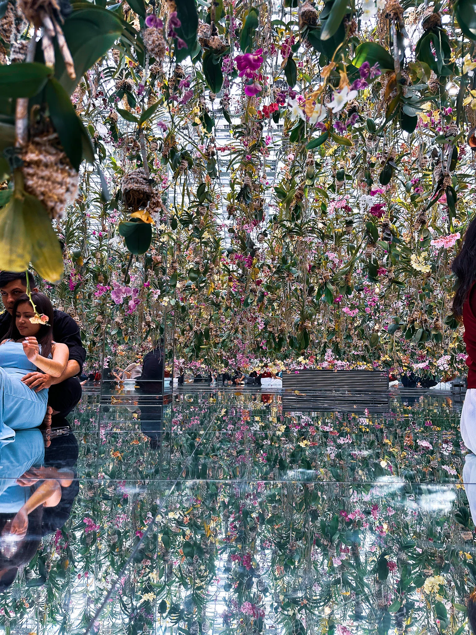 Orchids hanging in dense curtains from above, reflected in a mirrored floor, visitors standing among them